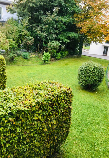 Lustenau: Schöne 2-Zimmerwohnung inkl. Tiefgaragenplatz zu vermieten