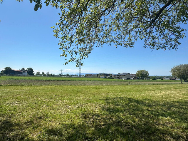 Wohnen am Bodensee - TOP 02 - 2 Zimmer Wohnung