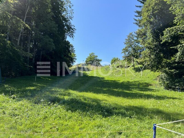 Grundstück Alberschwende