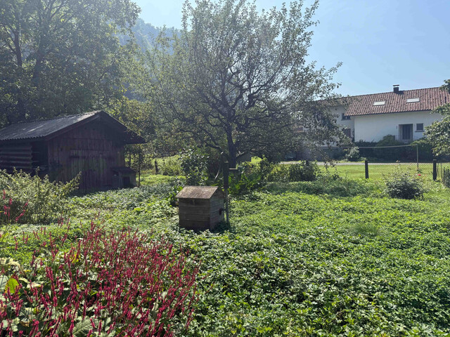 GRUNDSTÜCK B (478 m²) HOHENEMS-ERLACH