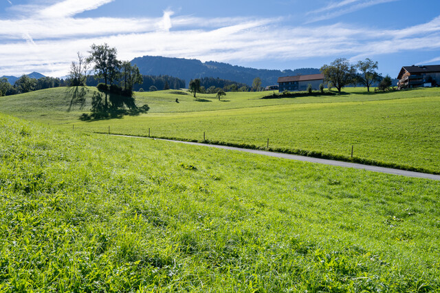 Grösseres teilbares Grundstück zu verkaufen