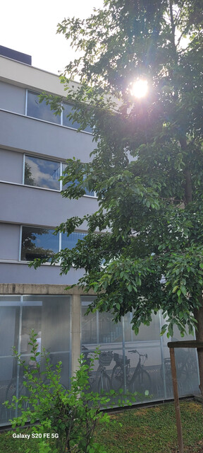 Neuwertige, moderne 2-Zimmer-Gartenwohnung in Hard !