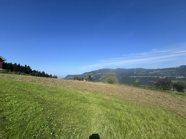 Einzigartiges Grundstück in Buch mit Rundumblick bis zum Bodensee