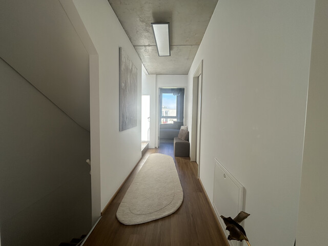 Reihenhaus  |  Modern  |  Lustenau  |  Garten  |  Terrasse  |  Sonderaustattungen  |  NEUWERTIG  |  ca.140.000 € WOHNBAUFÖRDERUNG