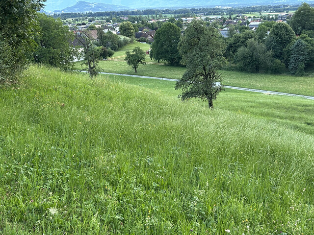 Exklusives Baugrundstück in Hanglage