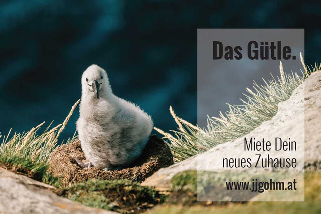 Moderne, hochwertige 3-Zimmer-Wohnung mit Loggia und TG-Platz - im Zentrum von Feldkirch