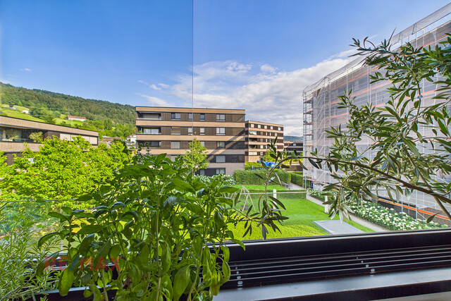 Neuwertiges Wohnen mit Blick auf den Pfänder & nah am Bodensee