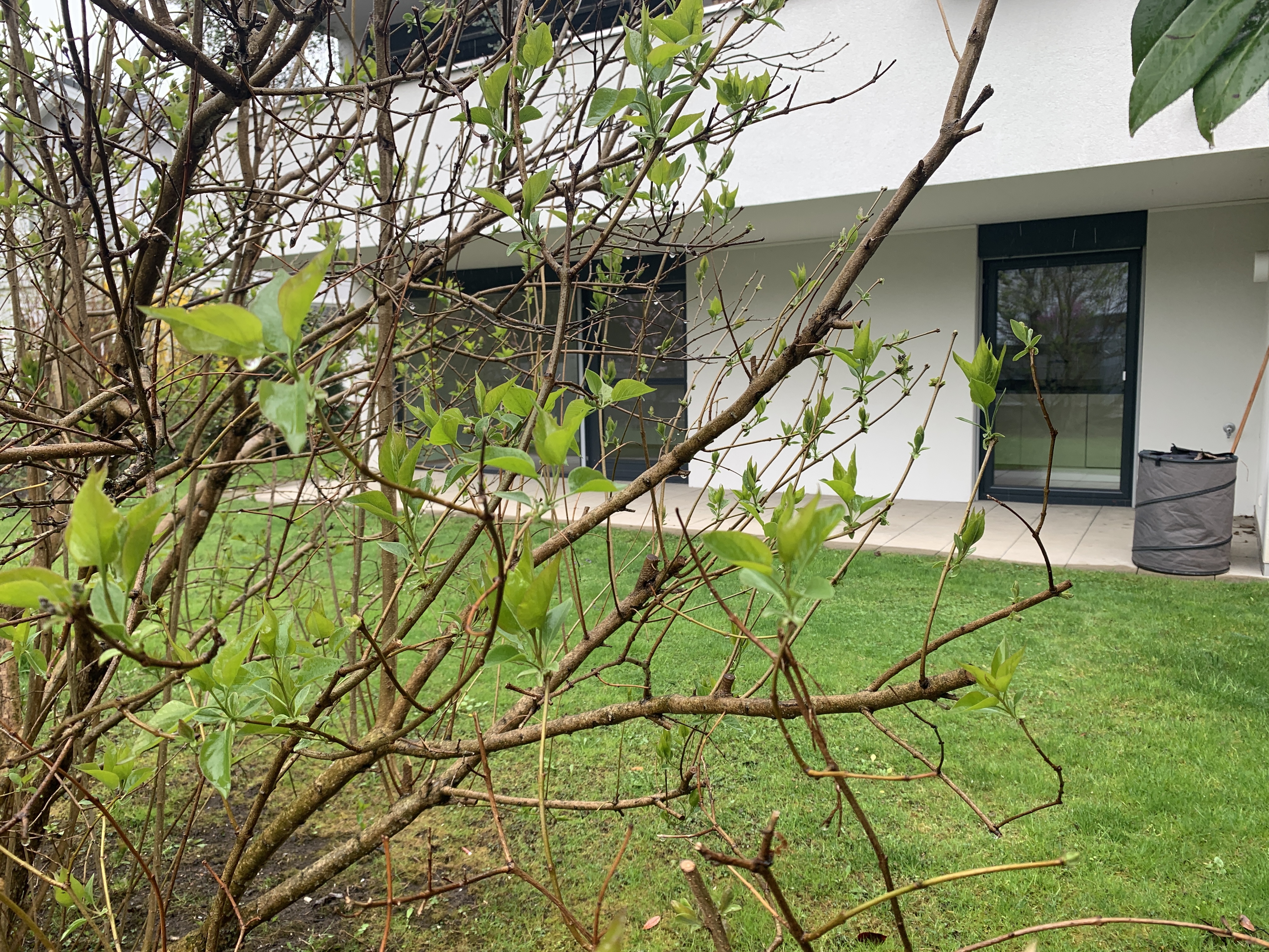 Edle 2-Zimmer Gartenwohnung in Feldkirch Altenstadt