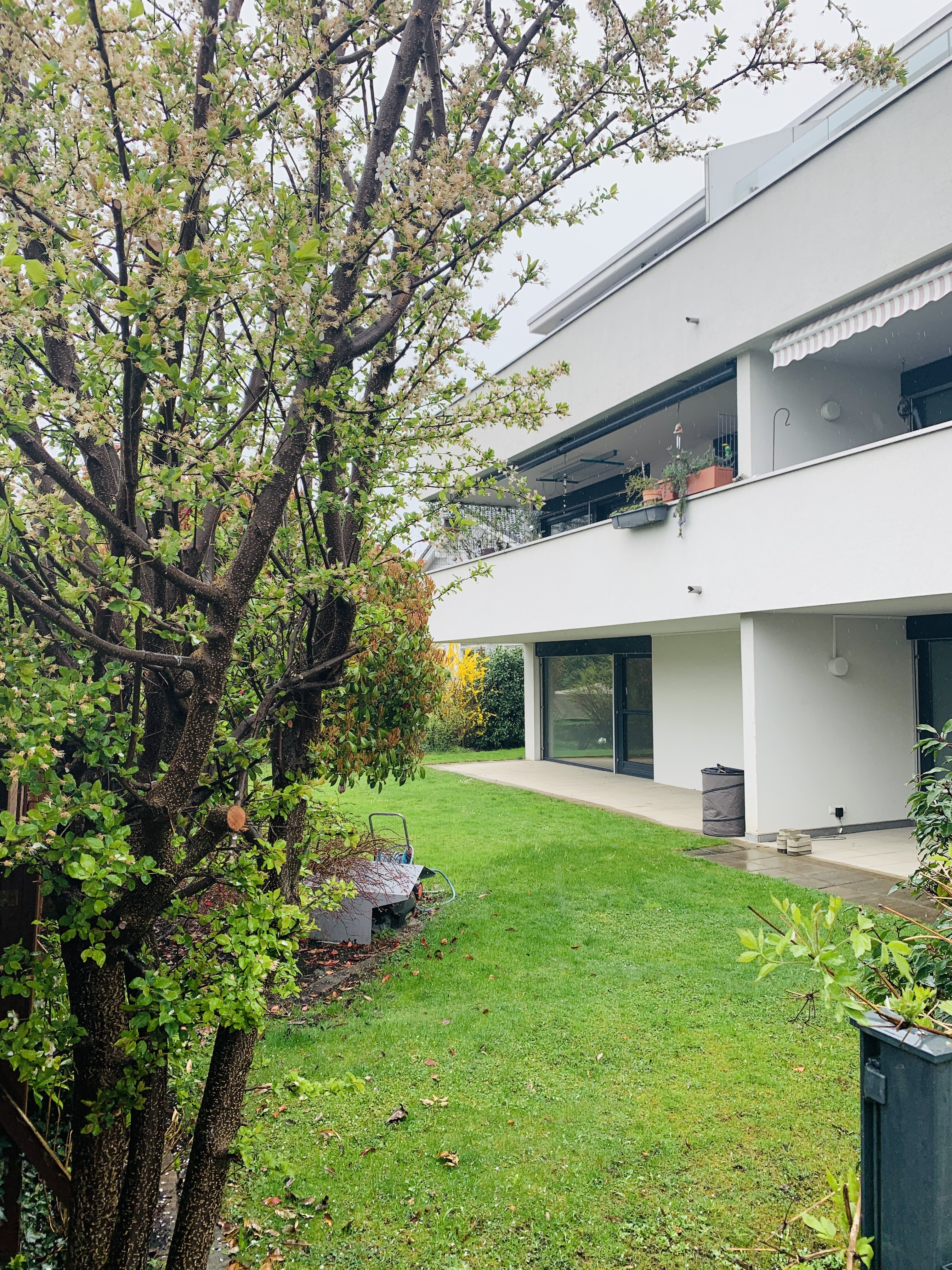Edle 2-Zimmer Gartenwohnung in Feldkirch Altenstadt