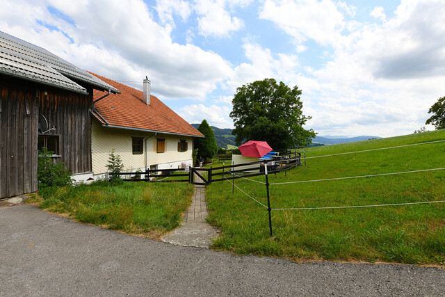 Extra große Wohnung mit tollem Garten und Pool zur Miete in Langen bei Bregenz