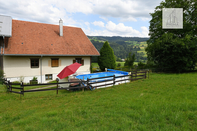Extra große Wohnung mit tollem Garten und Pool zur Miete in Langen bei Bregenz