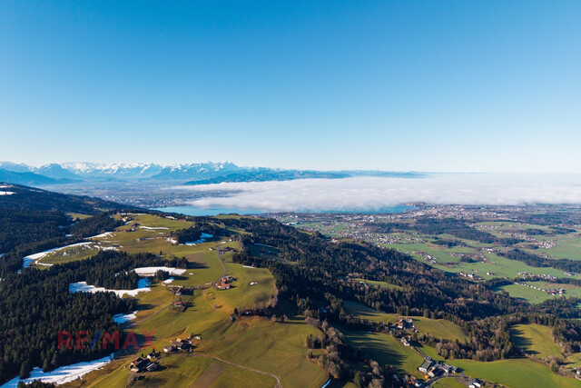 Goldene Felder für Ihre Ernte –
Ihre Chance, den Boden zum Leben zu erwecken!