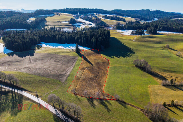 Goldene Felder für Ihre Ernte –
Ihre Chance, den Boden zum Leben zu erwecken!