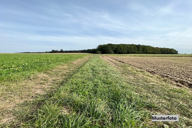 Landwirtschaftliche Zeltrundbogenhalle + provisionsfrei +