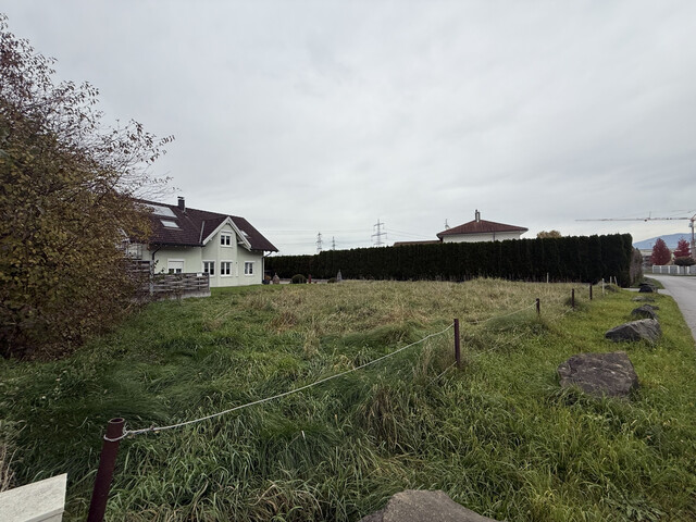 Grundstück  |  Hohenems   |  BNZ 60