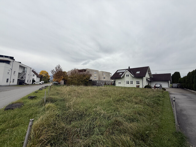 Grundstück  |  Hohenems   |  BNZ 60