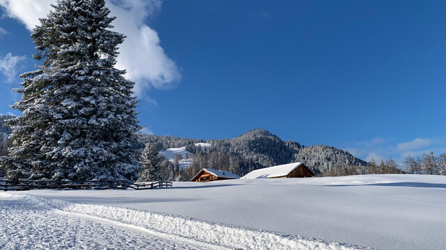 Grundstück für ein Ferienhaus im Schi- und Wandergebiet