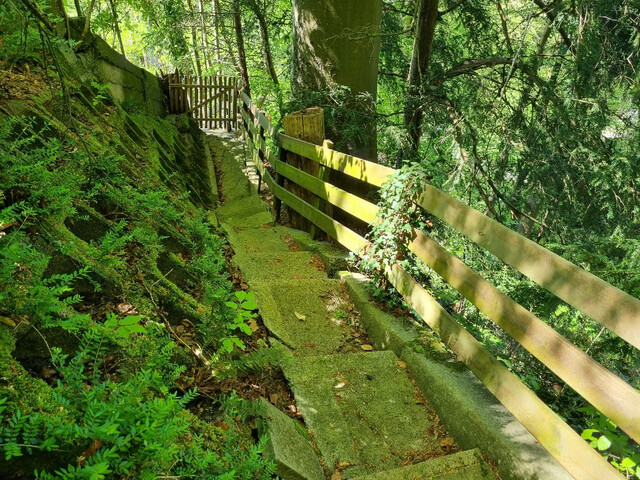 SEEBLICK. PFÄNDERBLICK. RUHELAGE - WOHNTRAUM IN BESTER LAGE
