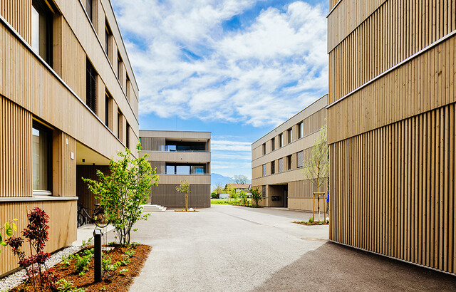 3-Zimmer-Dachgeschosswohnung | Sofortbezug (Top B13)