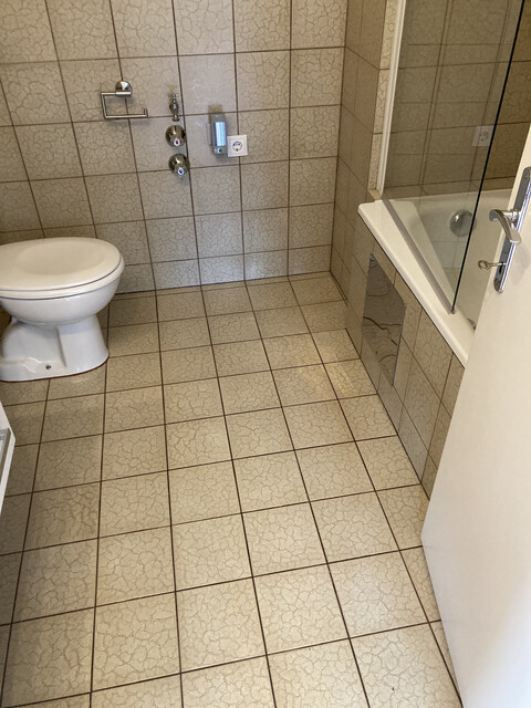 Geräumige, sonnige Wohnung 