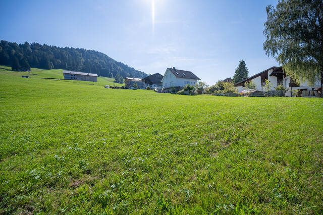 Schönes Grundstück zu verkaufen