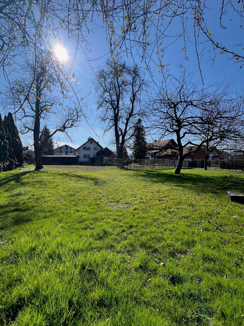 Sehr ruhig gelegenes Traumgrundstück nahe dem neuen Hohenemser Zentrum