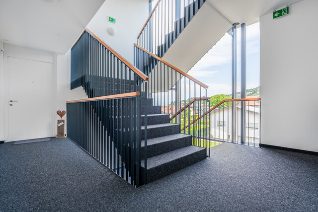 Exklusive 3-Zimmer-Wohnung mit Sonnenterrasse in Schwarzach