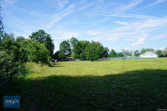Lustenau Vorach  Baugrundstück mit 1.553 m² im Grünen - teilbar