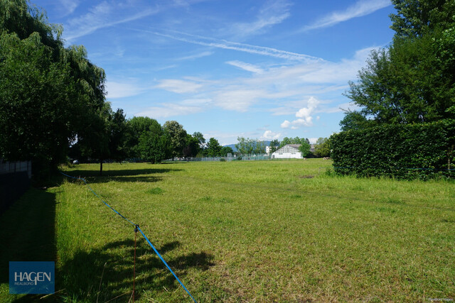 Lustenau Vorach  Baugrundstück mit 1.553 m² im Grünen - teilbar
