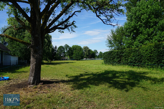 Lustenau Vorach  Baugrundstück mit 1.553 m² im Grünen - teilbar