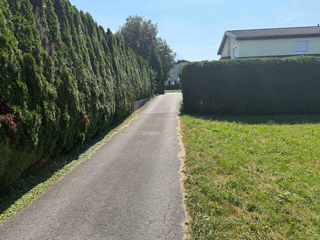 GRUNDSTÜCK B (444 m²) FELDKIRCH-RÜTTENEN