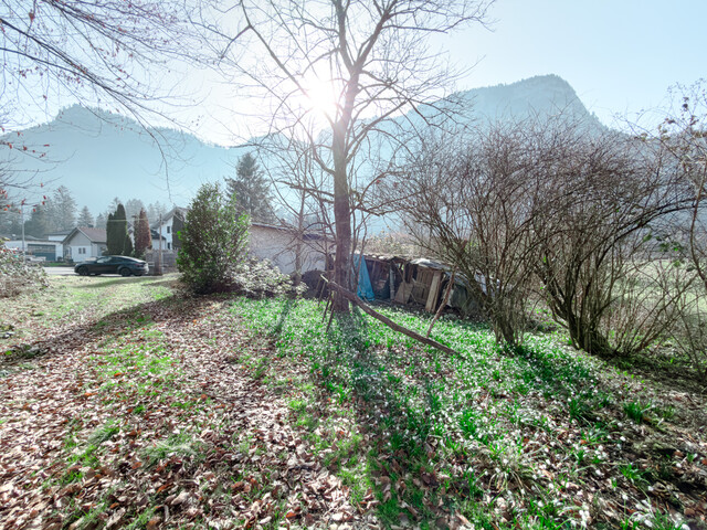 Attraktives Baugrundstück in Dornbirn - Naturnähe