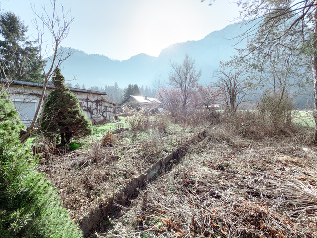 Attraktives Baugrundstück in Dornbirn - Naturnähe