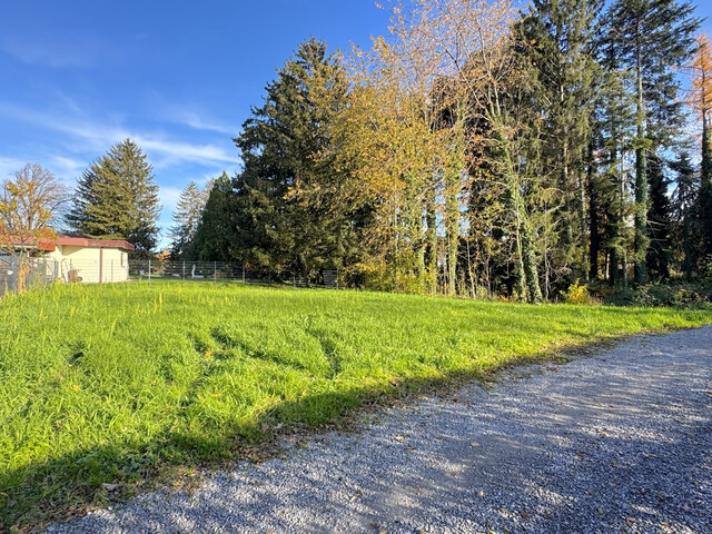 Platz für Ihr leistbares Eigenheim -Lustenau