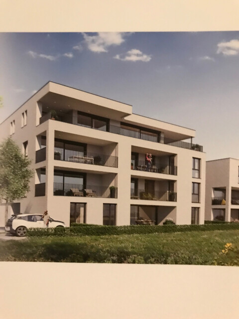 Traumhafte 3 Zimmer Gartenwohnung in ruhiger Lage in Hard 