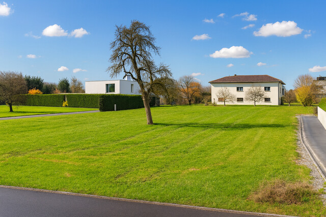 Sonniges Grundstück mit Zukunft