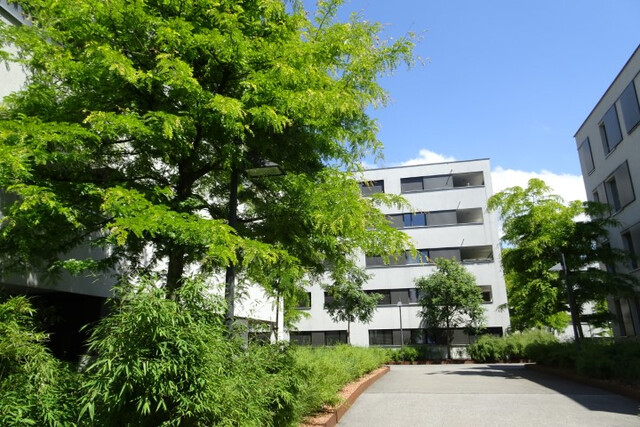 Sehr schöne, großzügige 3-Zimmer-Wohnung in bester Lage in Dornbirn