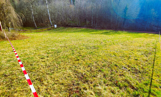 Wunderschönes provisionsfreies Baugrundstück mit 860m2 am Waldrand in Hohenems zu verkaufen! Teilung möglich