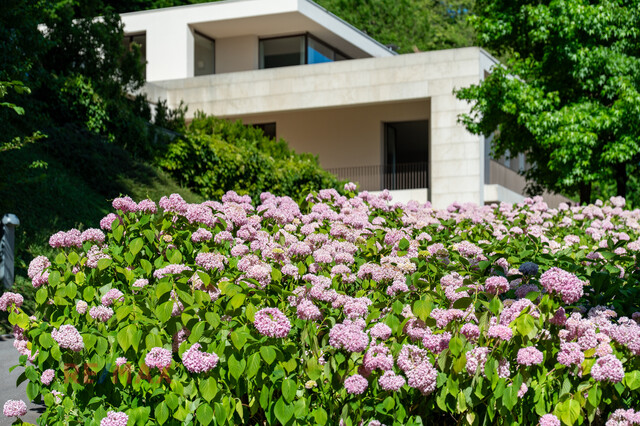 Ein Ort, der Eleganz flüstert und Schönheit atmet