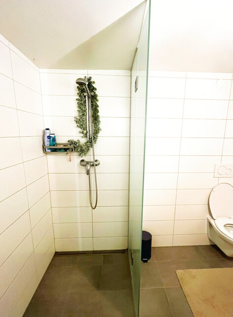 Schöne 2 1/2 Zimmer-Wohnung in Feldkirch-Tisis (Stadtnähe)