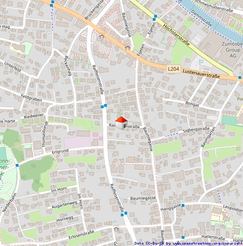 Sehr schönes, gepflegtes Einfamilienhaus in ruhiger Lage in Dornbirn