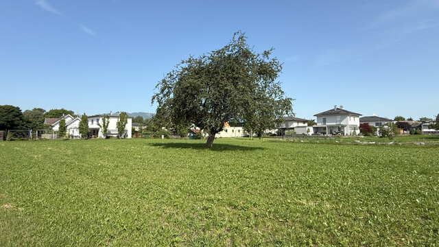 Baugrundstück in ruhiger Wohnlage 