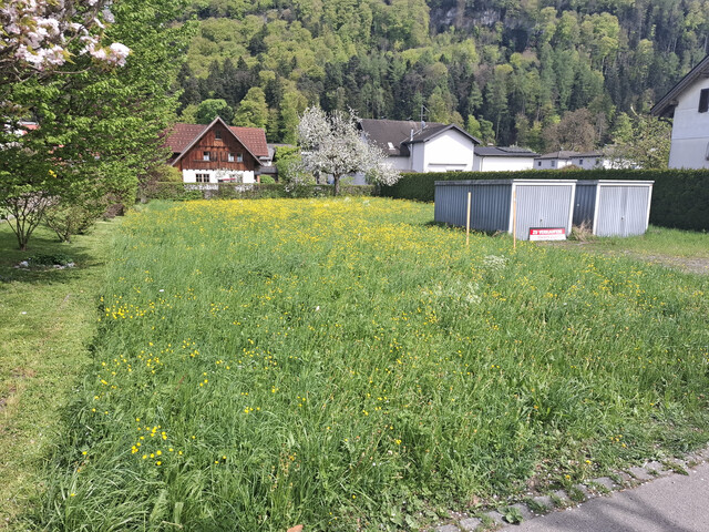 Voll erschlossenes Baugrundstück in Gisingen Sonnengasse, 909 qm ohne Provision.