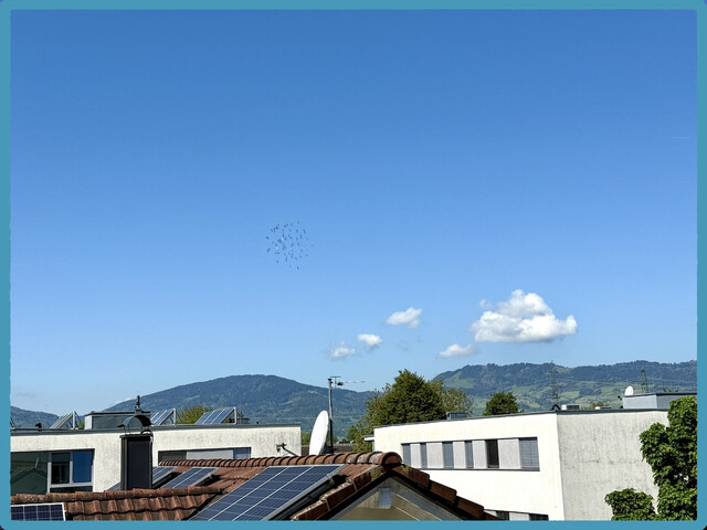 MÄDER - Penthouse-Wohnung mit riesiger Dachterrasse zu verkaufen!