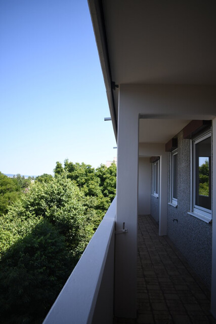 4-Zimmer-Wohnung mit Loggia in Wiener Neudorf – Ihr neues Zuhause!