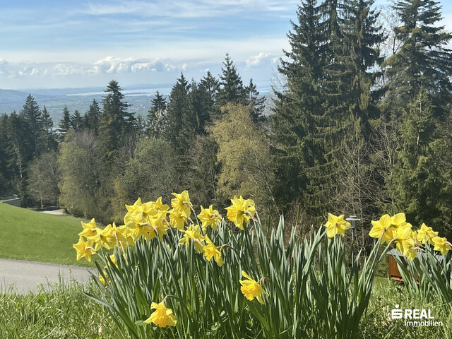 Panorama-Grundstück in Bildstein bereits erschlossen!