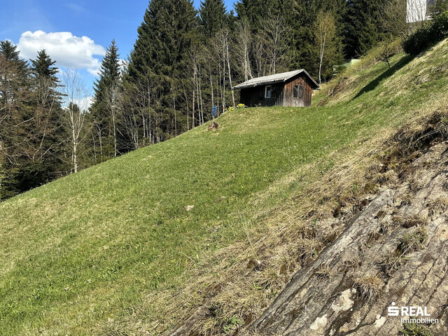 Panorama-Grundstück in Bildstein bereits erschlossen!