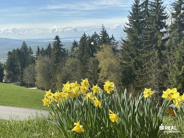 Panorama-Grundstück in Bildstein bereits erschlossen!