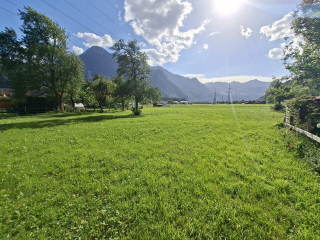 Sonniges Baugrundstück in ruhiger Lage 
