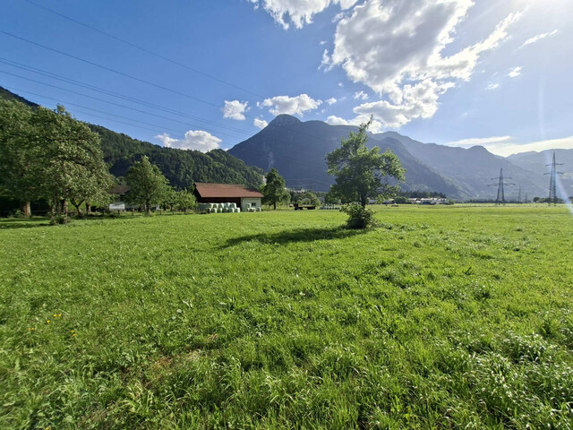 Sonniges Baugrundstück in ruhiger Lage 